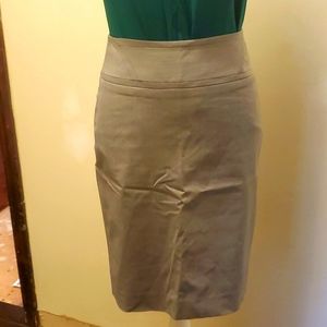 Limited Grey Skirt